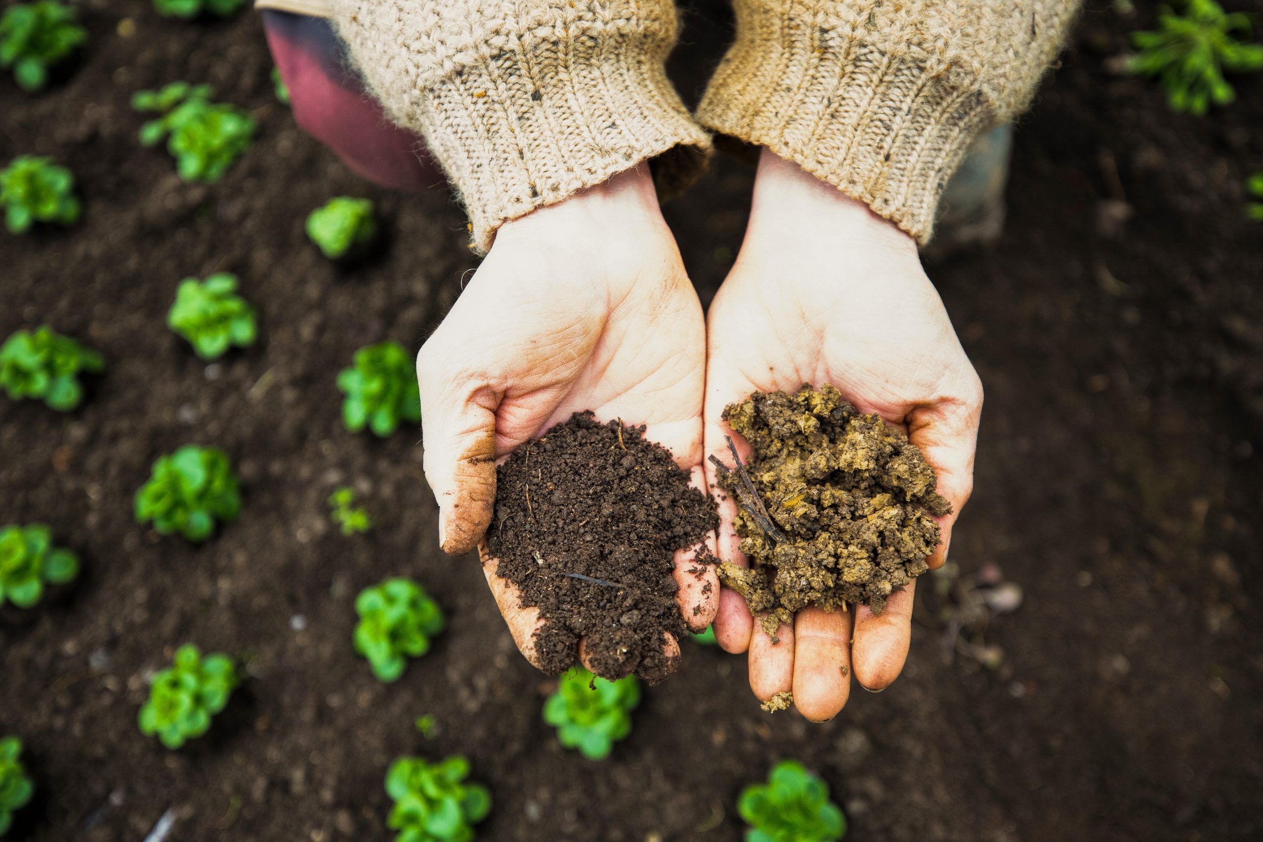 Soil Health Determines Human Health