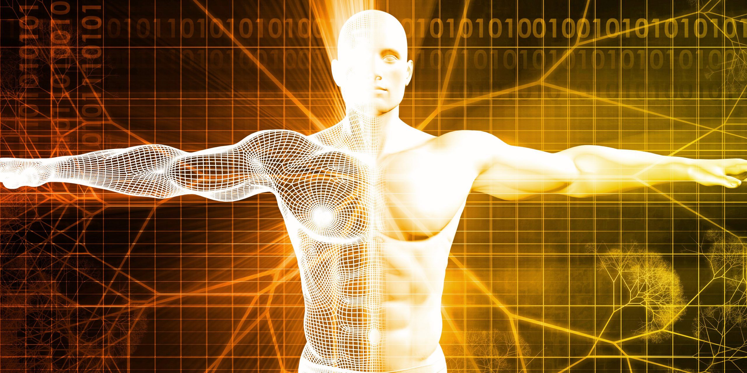 Your Amazing Body—An Inventory