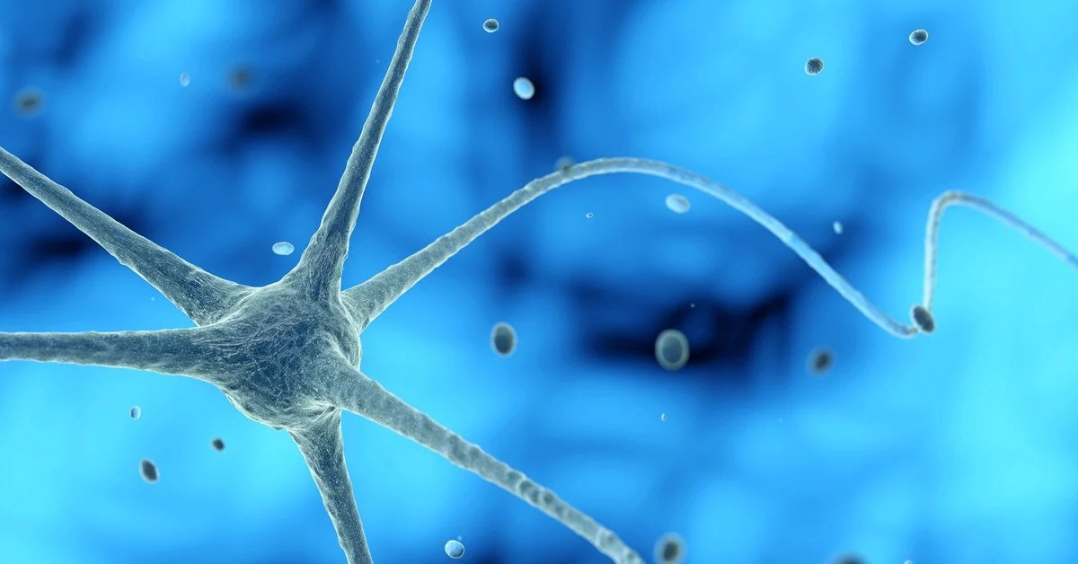 Regenerative Healthcare and Chiropractic